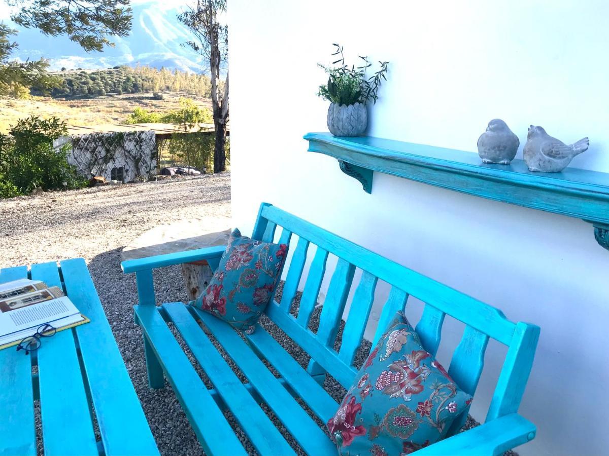 Willa La Rustica En Vinuela, Piscina Privada Zewnętrze zdjęcie
